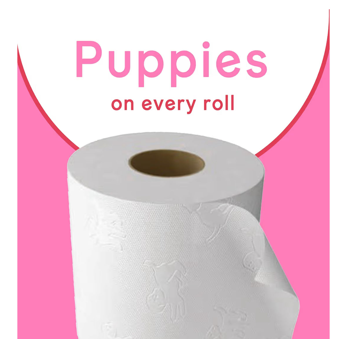 Andrex Family Soft Toilet Tissue 72 Rolls (Previously Andrex Gentle Clean) Gentle on your Family’s skin– Bulk Pack of 72 Toilet Rolls, FSC Certified