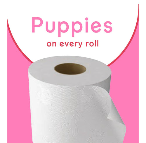 Andrex Family Soft Toilet Tissue 72 Rolls (Previously Andrex Gentle Clean) Gentle on your Family’s skin– Bulk Pack of 72 Toilet Rolls, FSC Certified